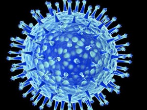 Virus H1N1 dell'influenza suina