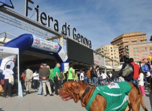 Dog's run a Genova