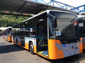 autobus-nuovi-regione