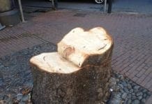 Genova – Al via il piano per la cura dei 20mila alberi