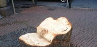 Genova – Al via il piano per la cura dei 20mila alberi