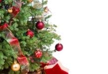 Alberi di Natale che camminano e offrono abbracci in via Sestri