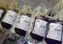 Sangue: quando donare diventa vita. Una conferenza per scoprire l’importanza della donazione sacche di sangue
