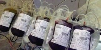 Genova, sacche di sangue nella spazzatura, ecco cosa è successo sacche di sangue