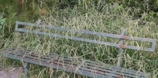 Genova – Detenuti fuori dal carcere e impegnati nei lavori socialmente utili