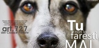 Cane abbandonato in un trasportino per gatti in lungo argine Polcevera abbandono cani