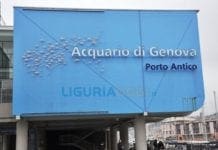 Genova, venerdì 21 giugno dipendenti dell’Acquario in sciopero