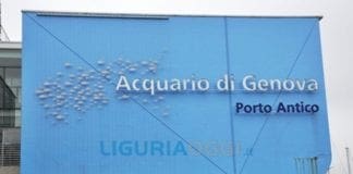 Giornata Mondiale degli Oceani: fine settimana di incontri all’Acquario