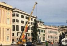 Genova – A De Ferrari arriva l’albero di Natale