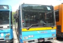 S. Margherita Ligure, tutti gli orari delle linee Atp durante le festività natalizie atp provincia genova