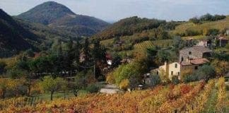 Agricoltura in Liguria, aumentano gli investimenti under 35: +117%