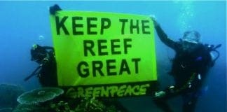 Ambiente – Allarme per le barriere coralline che si sbiancano