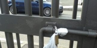 Cani – Deiezioni raccolte e abbandonate nei sacchetti