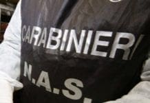 carabinieri nas