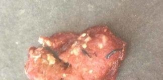 Camogli – Bocconi con chiodi sulla spiaggia, caccia al maniaco