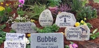 Anche a Genova è possibile essere sepolti con il proprio cane Cimitero Animali