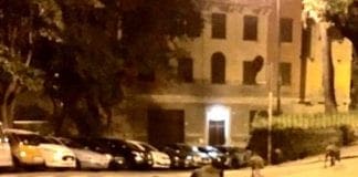 Incidenti stradali, in Liguria il 13% coinvolge un animale selvatico Cinghiali a Castelletto