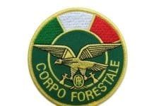 Allevamento-lager tra Liguria e Piemonte: 12 asini morti e 80 malnutriti