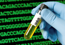 Resti umani a Casella, tre famiglie attendono il responso del DNA dna provetta