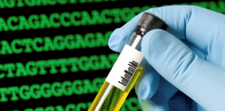 Resti umani a Casella, tre famiglie attendono il responso del DNA dna provetta