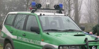 Albenga, caccia senza porto d’armi: sequestrati fucile e munizioni