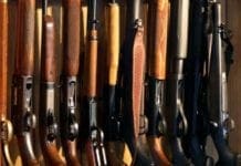 La Spezia, minaccia l’ex suocero, la polizia gli sequestra fucili e pistole fucili da caccia