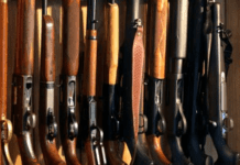 Rapallo, denuncia l’ex marito per minacce e fa scoprire arsenale Fucili caccia