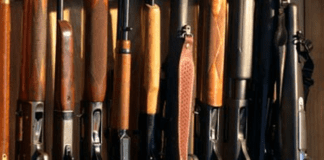 Caccia in Liguria, inizio della stagione il 17 settembre e chiusura il 31 gennaio Fucili caccia