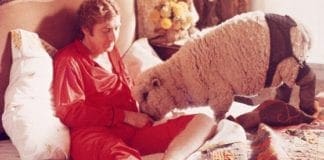 Orge con animali – Le denunce dell’Aidaa