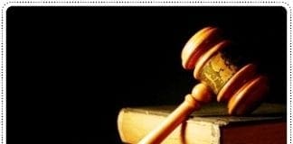 Parco di Portofino, il Tar boccia il progetto della Regione Liguria