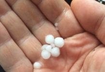 Forte grandinata sulle alture di Genova