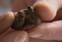 Caricamento, sorpreso dagli agenti a spacciare: arrestato 37enne hashish