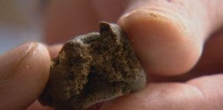 La Spezia, spaccia droga vicino alla Scuola e alla Mediateca, arrestato hashish