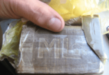 Genova, cane antidroga trova hashish e marijuana nascosta nel centro storico Hashish