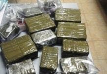 Genova, in auto con 41 chili di hashish, arrestato trafficante Hashish, droga, panetti