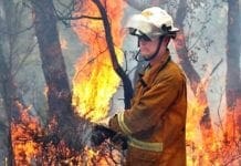 Incendi Boschivi – Al via il corso di formazione per volontari anti incendio boschivo incendio boschivo