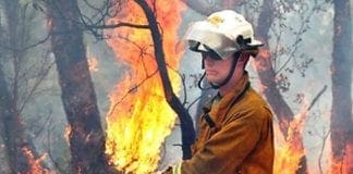 Incendi Boschivi – Al via il corso di formazione per volontari anti incendio boschivo incendio boschivo