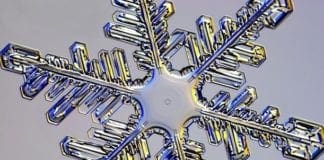 Genova, primi fiocchi sulle alture di Prà, possibili nevicate anche a quote basse