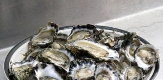 Ostriche e mitili a rischio per l’aumento dell’acidità dei Mari