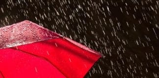 Maltempo in Liguria, aggiornamento previsioni Arpal delle 6 pioggia, ombrello