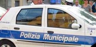 Quinto – Cane travolto e ucciso da un’auto sulle strisce pedonali