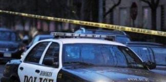 Conversazioni sull’arte a Chiavari: l’approccio di Olivetti e l’originalità del suo pensiero