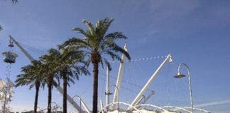 Genova, colla per topi sulle panchine per cacciare i suonatori di bongo