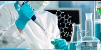 Genova, guasto al depuratore di Quinto, scattano i divieti di balneazione ricerca provette