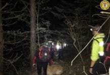 Turista di Genova disperso nei boschi della Valle d’Aosta disperso nei boschi