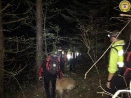 Altare, resti umani nel bosco, forse appartengono al 90enne scomparso disperso nei boschi