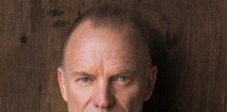 Musica – Sting torna in Italia con il Back To Bass Tour