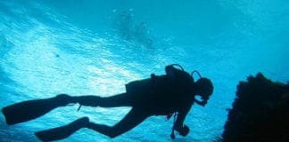 Sardegna, grave una subacquea ligure colpita da malore in immersione subacqueo immersione