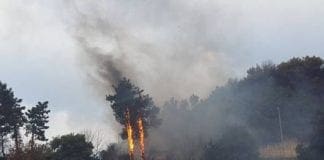 Incendio a Genova – Nuovi roghi a Pegli, Sestri Ponente, Davagna e Neirone