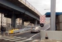 Genova, notte di follia sulla Sopraelevata con cinghiali e pedoni sulla carreggiata Sopraelevata Genova rampa terminal traghetti